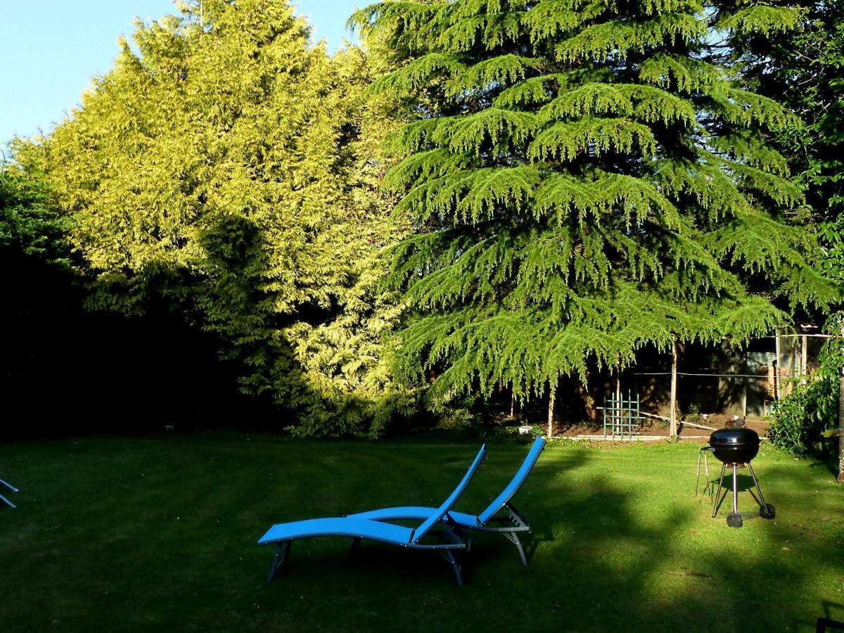 Bed and Breakfast Ailes Et Iles Pleudaniel Zewnętrze zdjęcie